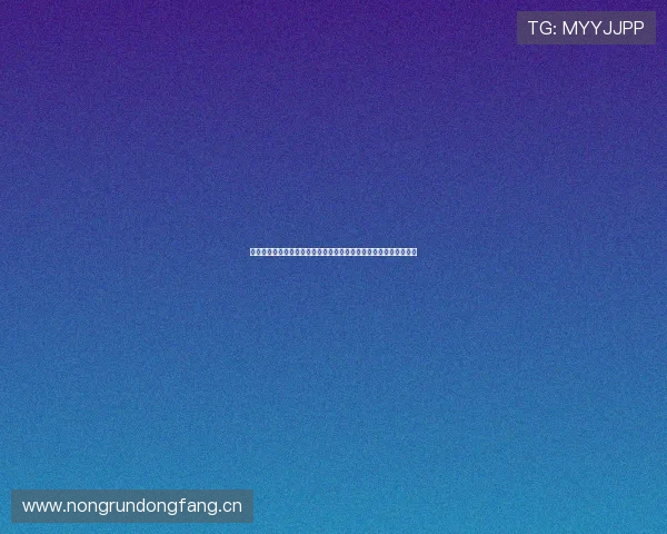 麦动网络科技有限公司驱动数字创新与智能生态融合发展新格局探索